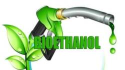 Bioetanol Opsi Menggantikan Pertalite dan Pertamax